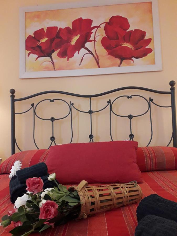 La Chicca Apartman Pisa Kültér fotó
